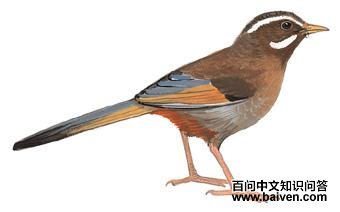 ��ɽ���̵�ͼ��