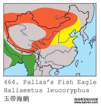 �������ĵ����ֲ�ͼ