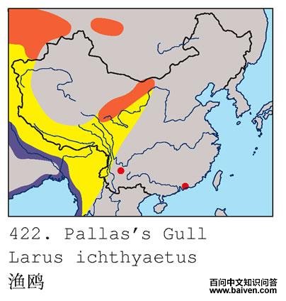 ��Ÿ�ĵ����ֲ�ͼ