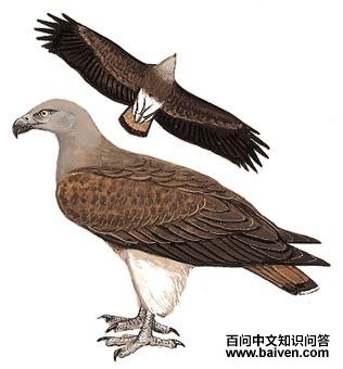 ����ͼ��