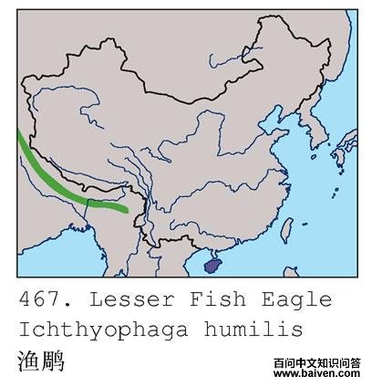 ���ĵ����ֲ�ͼ