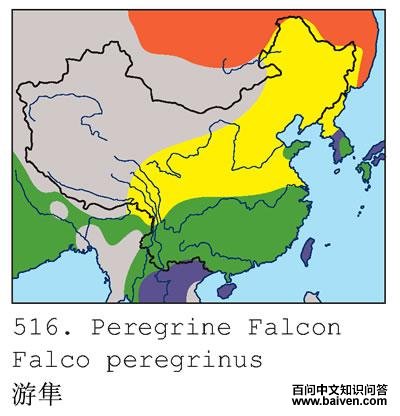 �����ĵ����ֲ�ͼ