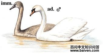 �������ͼ��