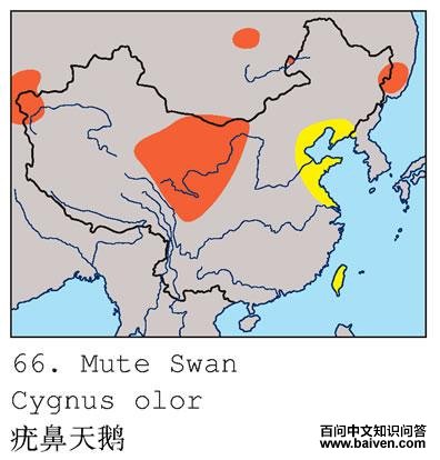 ������ĵ����ֲ�ͼ