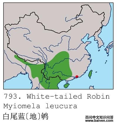 ��β��[��]�ĵ����ֲ�ͼ