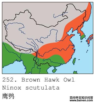 ӥ�^�ĵ����ֲ�ͼ