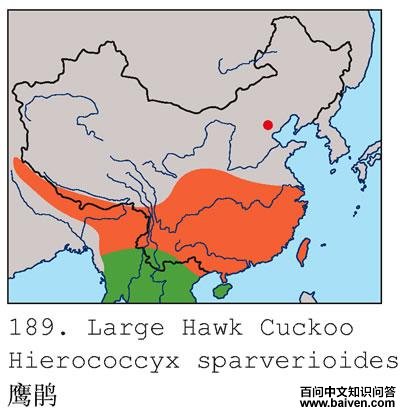 ӥ��ĵ����ֲ�ͼ