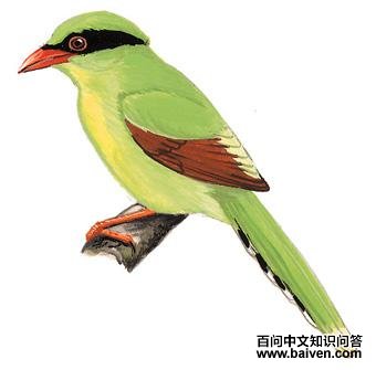 ӡ֧��ȵ��ͼ��