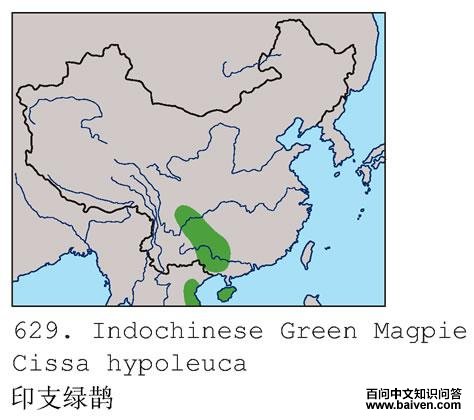 ӡ֧��ȵ�ĵ����ֲ�ͼ