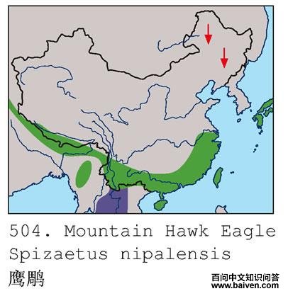 ӥ��ĵ����ֲ�ͼ