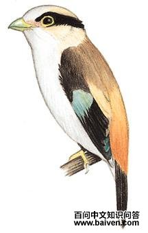 ����˿�����ͼ��