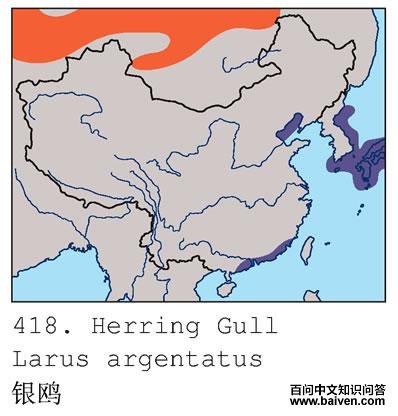 ��Ÿ�ĵ����ֲ�ͼ