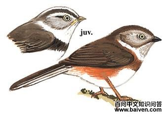 ����[��β]ɽȸ��ͼ��