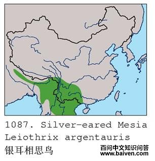 ������˼��ĵ����ֲ�ͼ