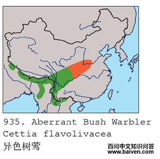 ��ɫ��ݺ�ĵ����ֲ�ͼ