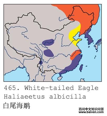 ��β����ĵ����ֲ�ͼ