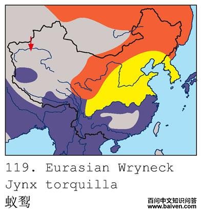 �����ĵ����ֲ�ͼ