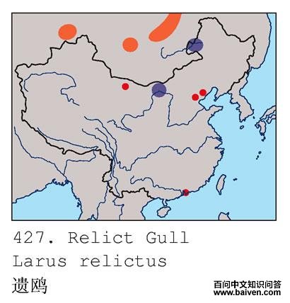 ��Ÿ�ĵ����ֲ�ͼ