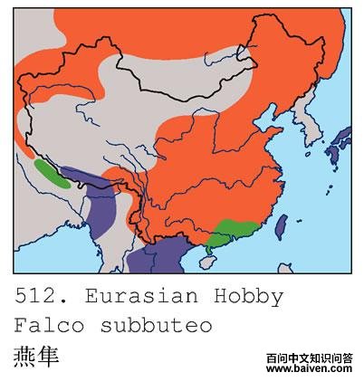 �����ĵ����ֲ�ͼ