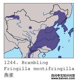 ��ȸ�ĵ����ֲ�ͼ