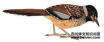 �������̵�ͼ��