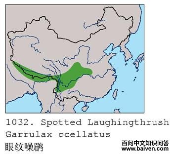 �������̵ĵ����ֲ�ͼ