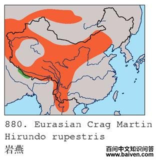 ����ĵ����ֲ�ͼ