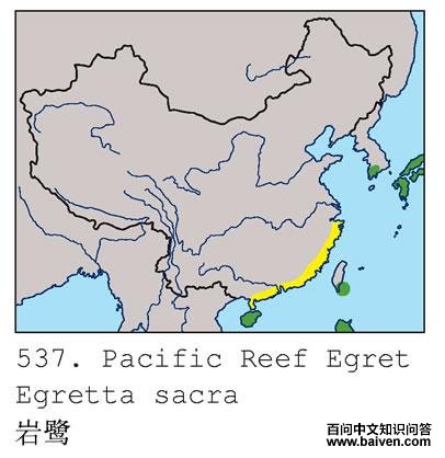 ���صĵ����ֲ�ͼ