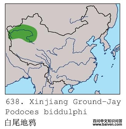 ��β��ѻ�ĵ����ֲ�ͼ