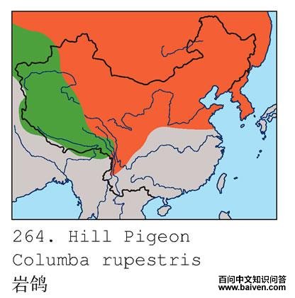 �Ҹ�ĵ����ֲ�ͼ