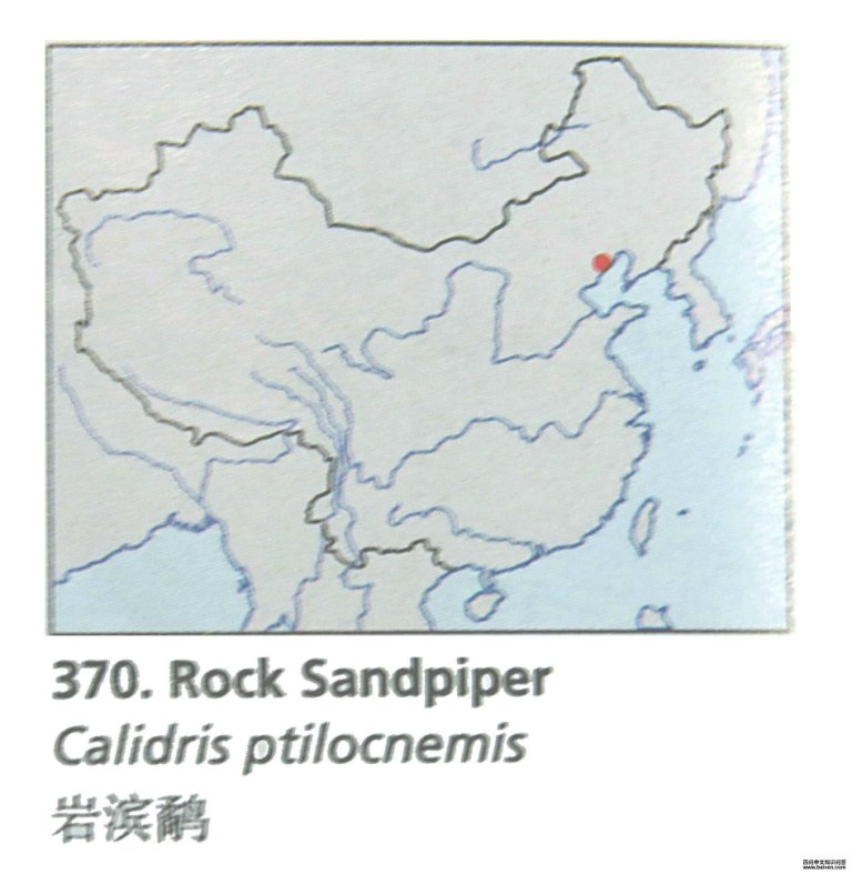 �ұ��ֵĵ����ֲ�ͼ