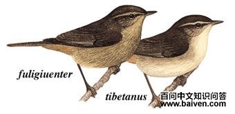 ����ݺ��ͼ��