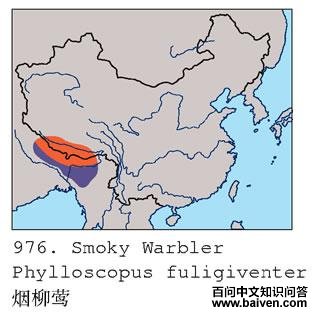 ����ݺ�ĵ����ֲ�ͼ