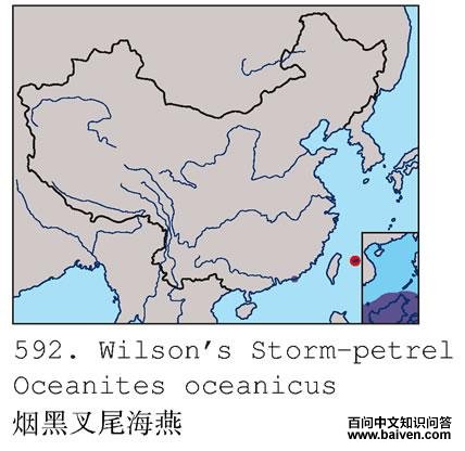 �̺ڲ�β����ĵ����ֲ�ͼ