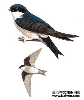 �̸�ë�����ͼ��