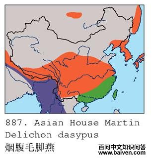 �̸�ë����ĵ����ֲ�ͼ