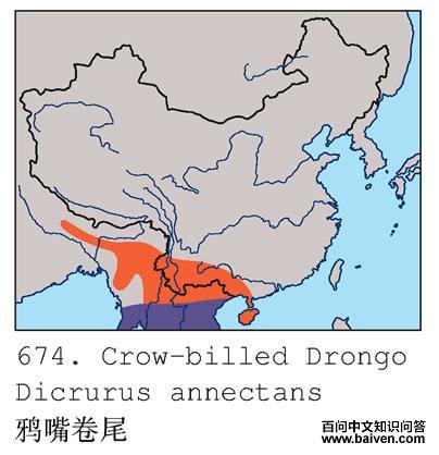 ѻ���β�ĵ����ֲ�ͼ