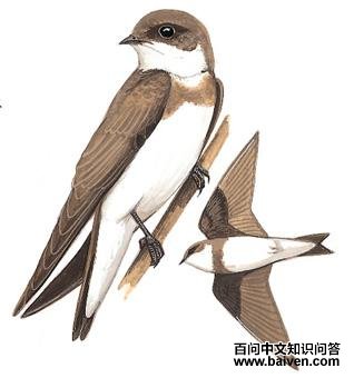 ��ɳ���ͼ��