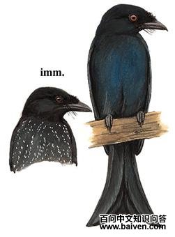 ѻ���β��ͼ��