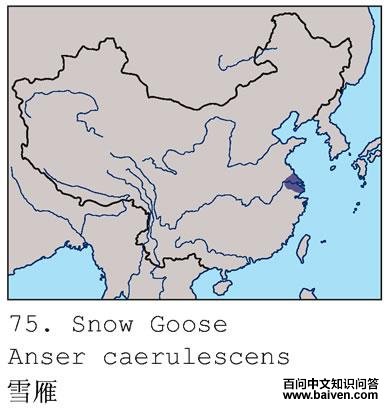 ѩ��ĵ����ֲ�ͼ