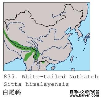 ��β���ĵ����ֲ�ͼ