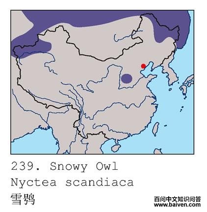 ѩ�^�ĵ����ֲ�ͼ