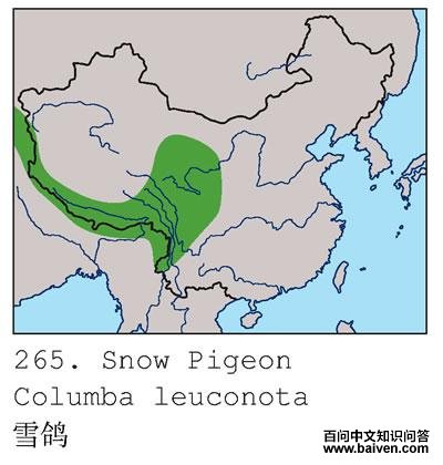 ѩ��ĵ����ֲ�ͼ