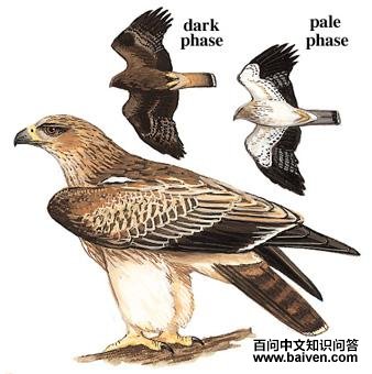 ѥ�����ͼ��