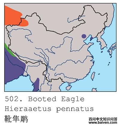 ѥ����ĵ����ֲ�ͼ