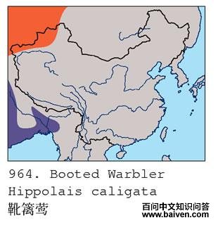 ѥ��ݺ�ĵ����ֲ�ͼ