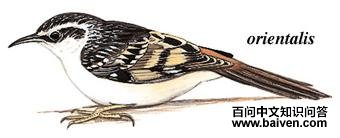 ��ľȸ��ͼ��