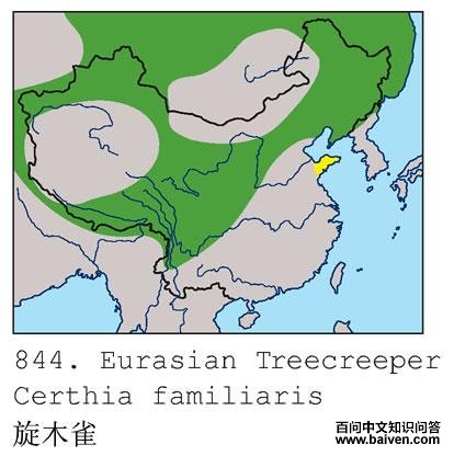 ��ľȸ�ĵ����ֲ�ͼ