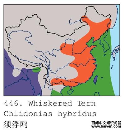 �븡Ÿ�ĵ����ֲ�ͼ