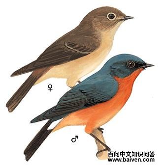 ������[��]�l��ͼ��